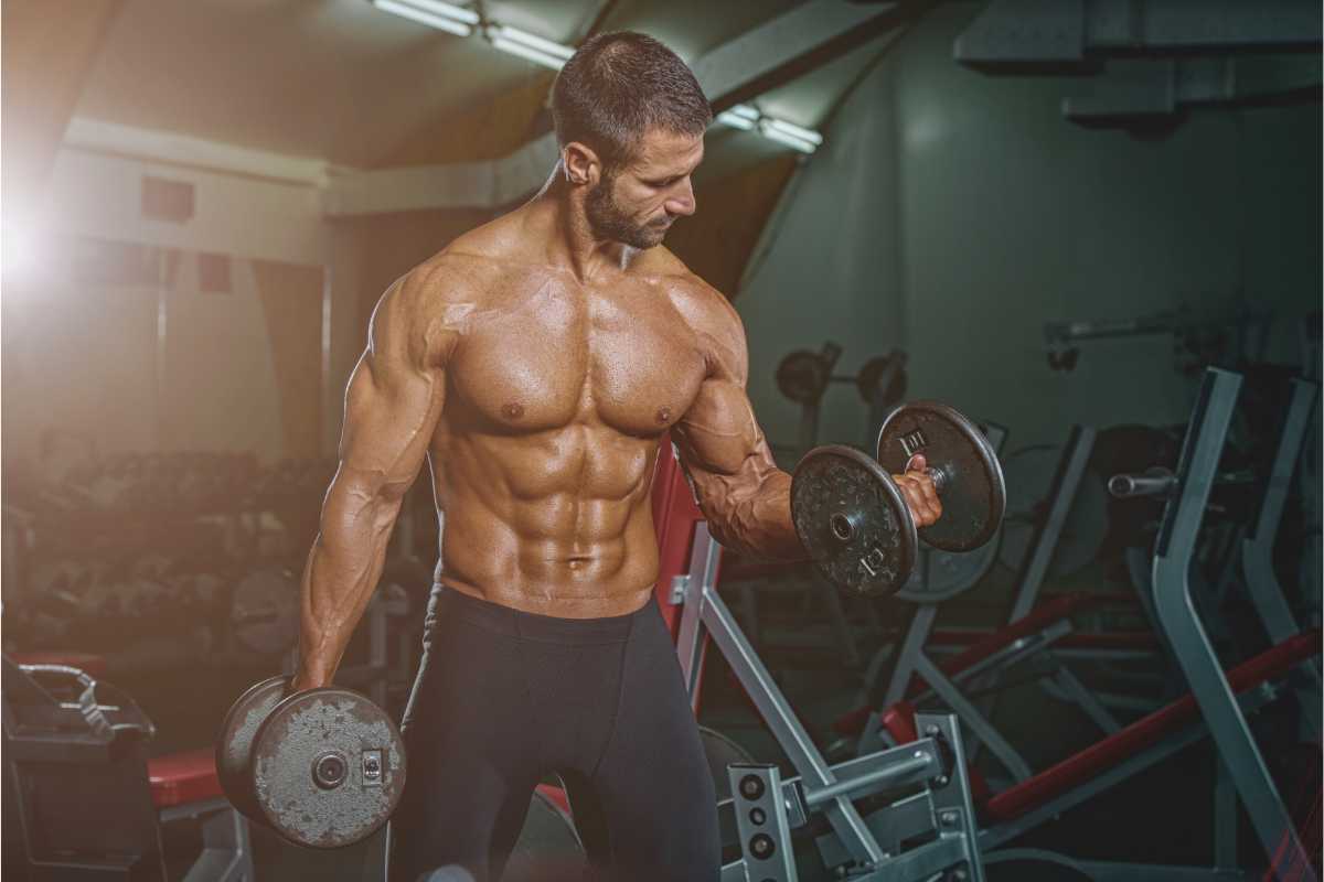 Palestra, che benefici ha sull'essere umano